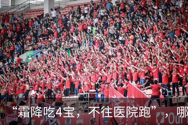 “霜降吃4宝，不往医院跑”，哪4宝？10月23日霜降别忘吃，滋补暖身增免疫，应季而食，为过冬打好基础