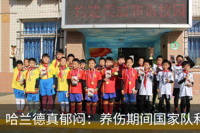 哈兰德真郁闷：养伤期间国家队和俱乐部接连出局