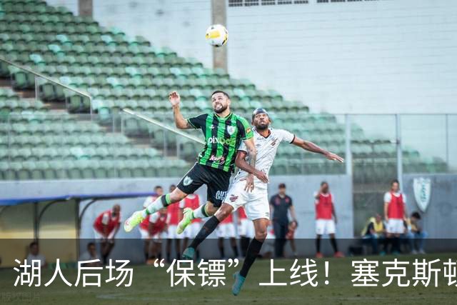 湖人后场“保镖”上线！塞克斯顿为东里组合减压