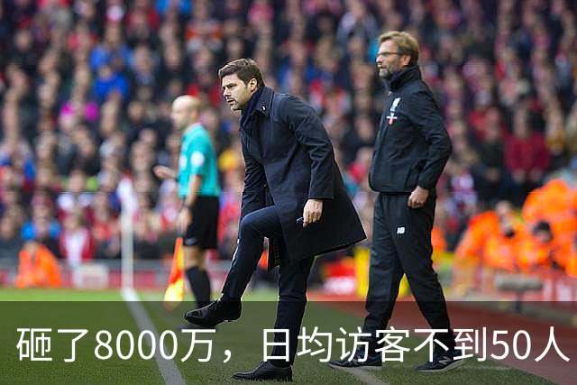 砸了8000万，日均访客不到50人，如今被法拍：西安艺术馆们的困境