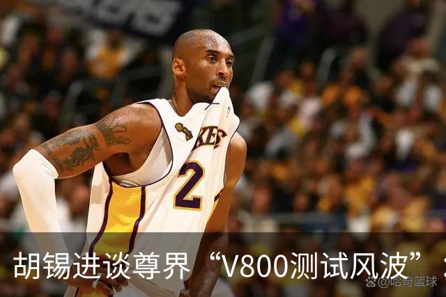 胡锡进谈尊界“V800测试风波”：华为子系统不需要特殊保护，鸿蒙智行在国内市场上经历各种风浪，这应视为正常