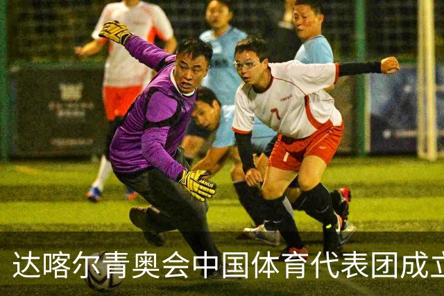 达喀尔青奥会中国体育代表团成立